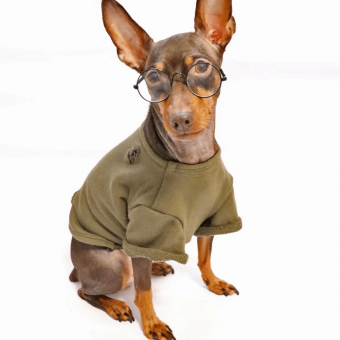 Olive Tフロントスタイル ミニピン,おしゃれ,犬服,Tシャツ
