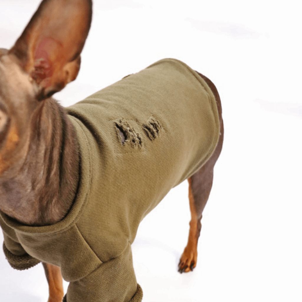 Olive T detail 犬,おしゃれ,犬服,カーキ
