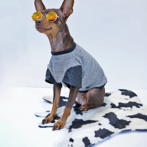 カフェマット,犬,おしゃれ