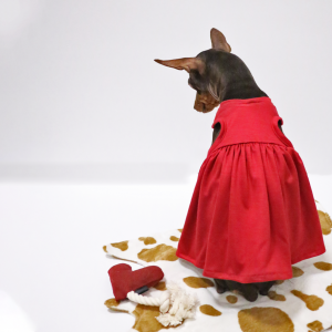 ワンピース,赤,犬